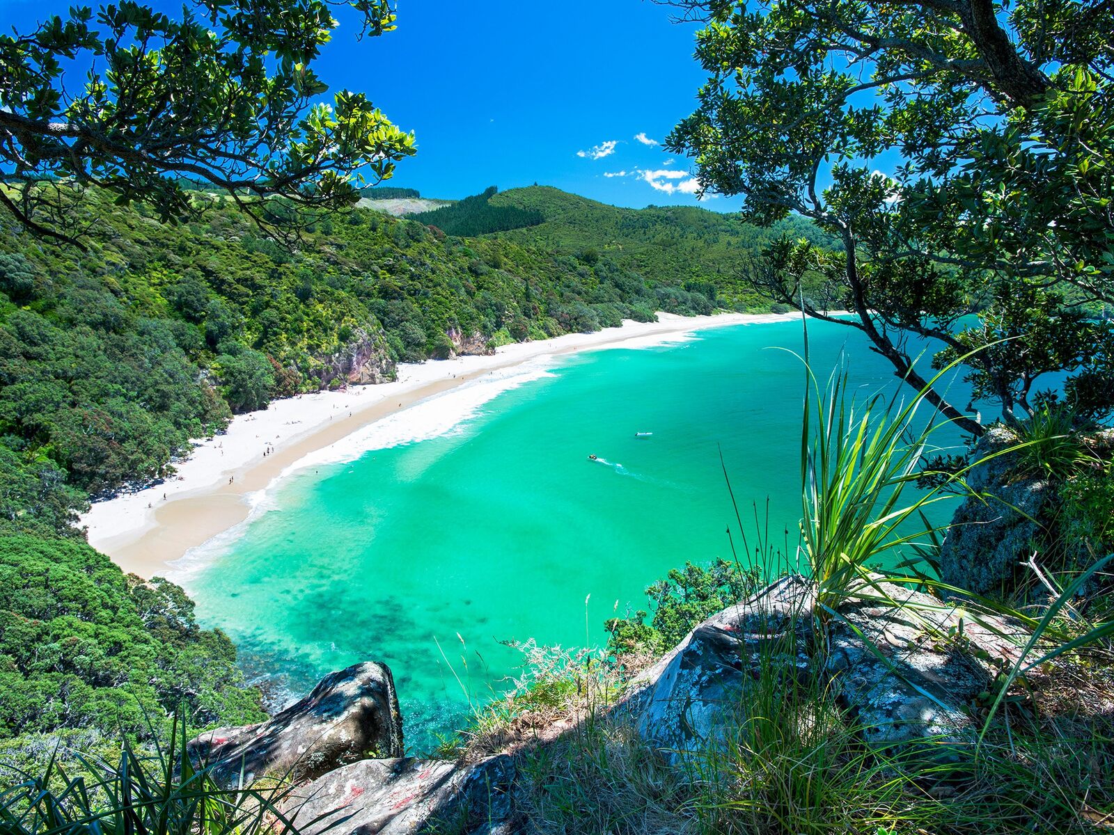 Beautiful New Zealand landscape with mountains and lake